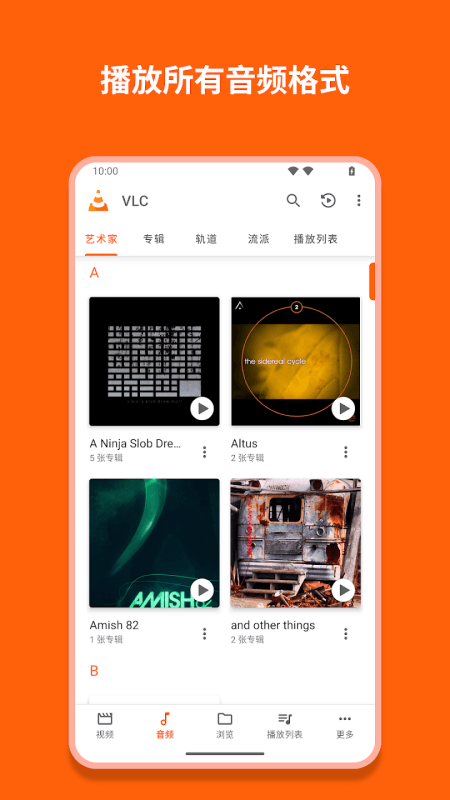 VLC播放器安卓版截图1