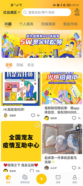 宠胖胖app截图