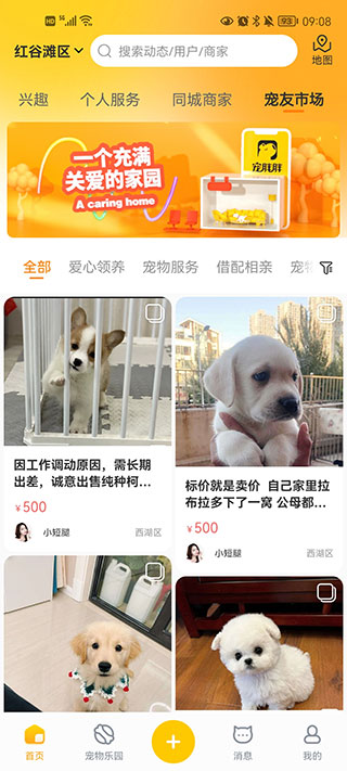 宠胖胖app截图