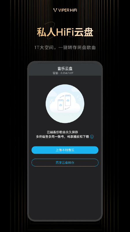 VIPER HiFi截图4
