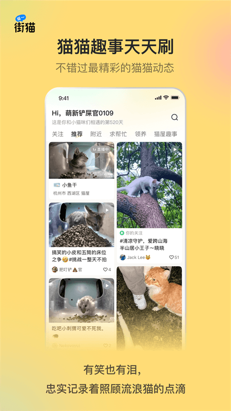 街猫app截图