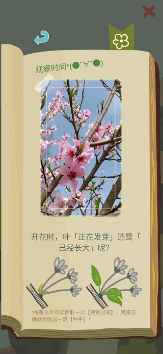 老农种树官方版截图