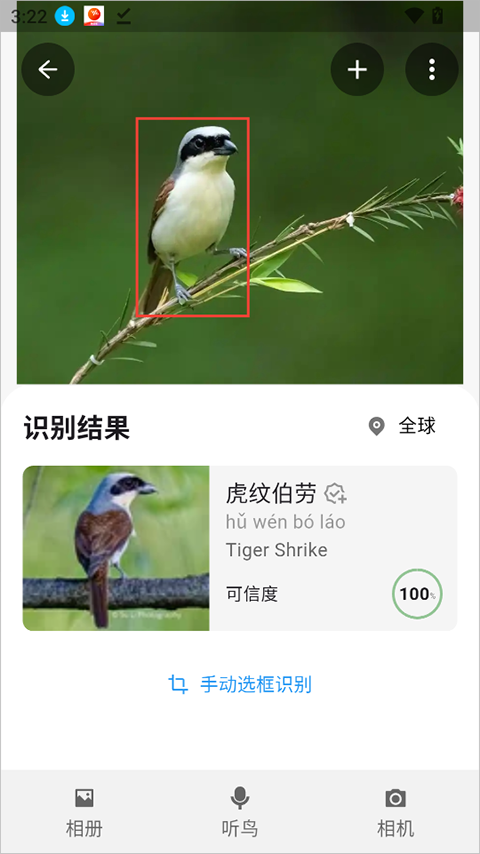 懂鸟app截图2