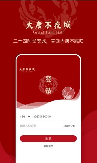 大唐不夜城截图