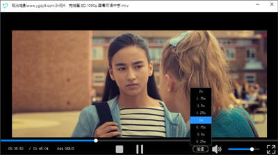 飞鸟截图1