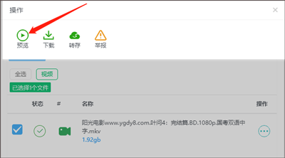 飞鸟截图2