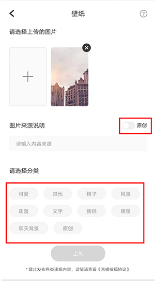 言橘app截图
