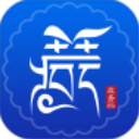 西藏政务