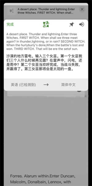微软翻译软件手机版截图