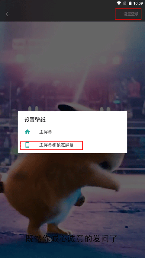 皮皮壁纸app截图