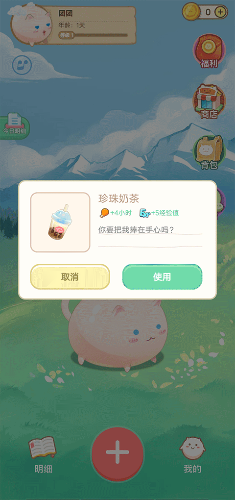 团团记账截图