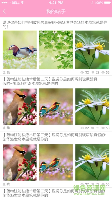 花韩截图