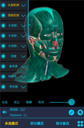 医维度解剖app截图
