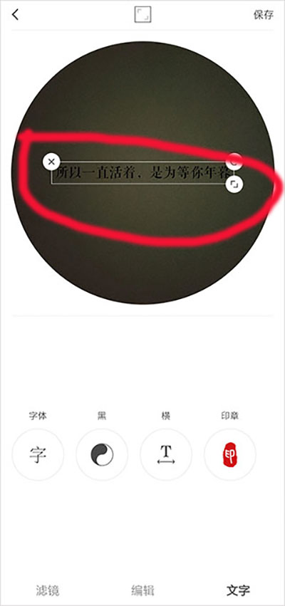 VideoStar汉化版截图3