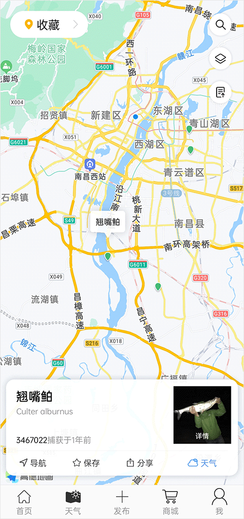 渔获官方版app截图