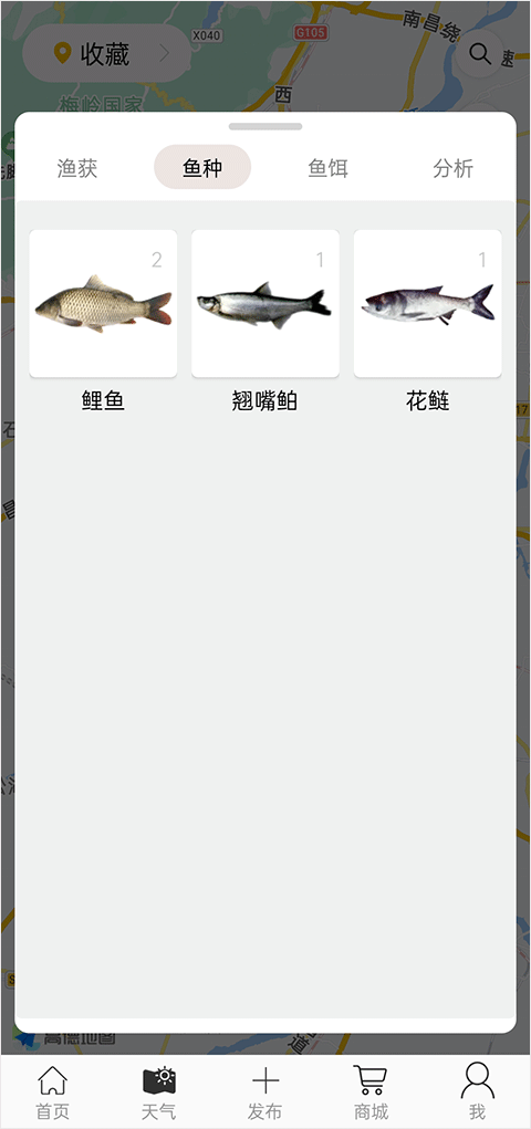 渔获官方版app截图
