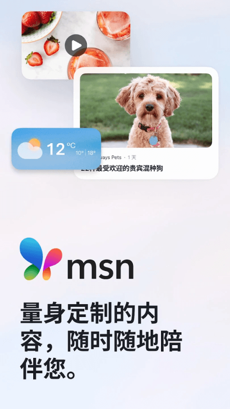 MSN手机版截图