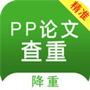 PP论文查重