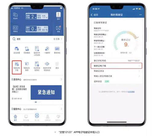 12123电子驾驶证app截图
