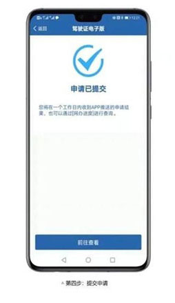 12123电子驾驶证app截图