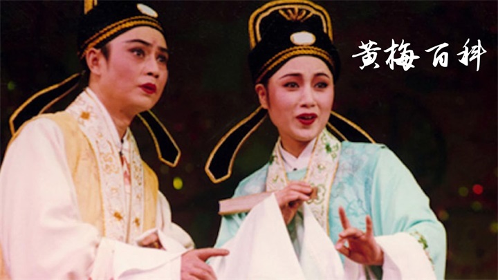 黄梅迷app截图
