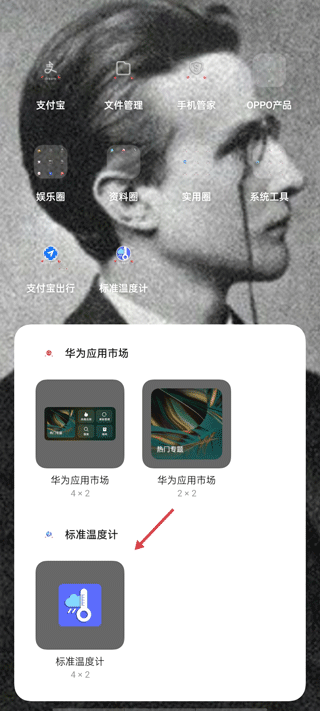 标准温度计手机版app截图