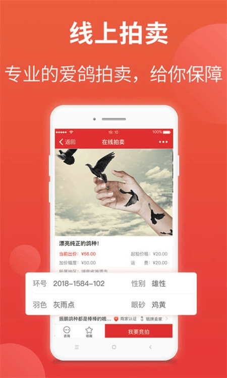 搜鸽天下app截图2