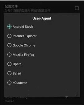 Advanced Download Manager官方版截图