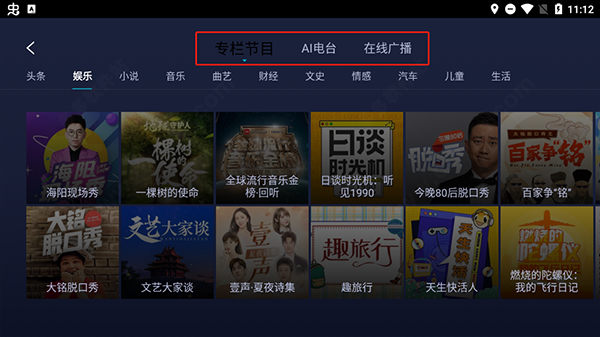 云听车机版截图
