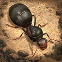 小小蚁国国际服最新版 v3.94.1