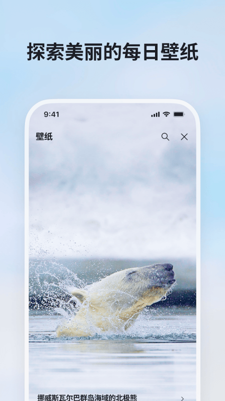 微软必应app截图3
