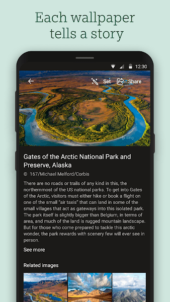 bing wallpapers apk(必应壁纸)截图0