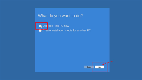 windows11模拟器手机版截图
