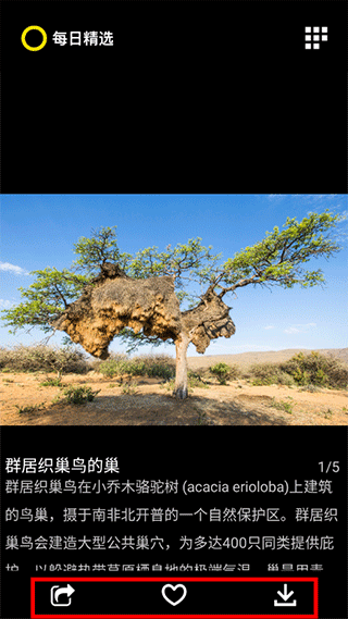 每日精选官方版截图1