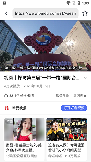 熊猫浏览器app截图