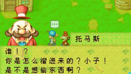 牧场物语 矿石镇的伙伴们截图