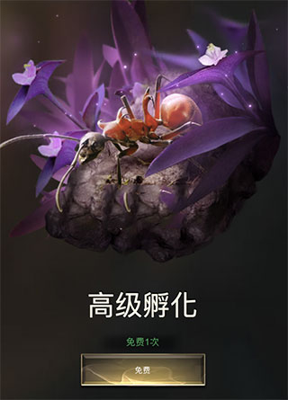 小小蚁国九游版截图