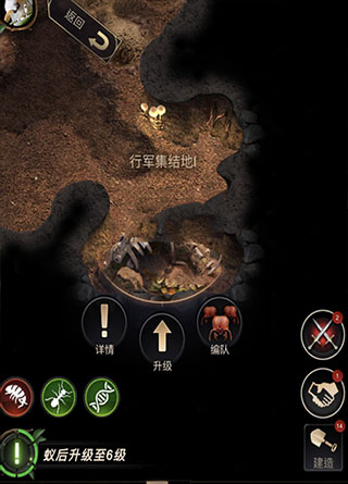 小小蚁国九游版截图