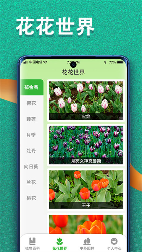 植物视界截图