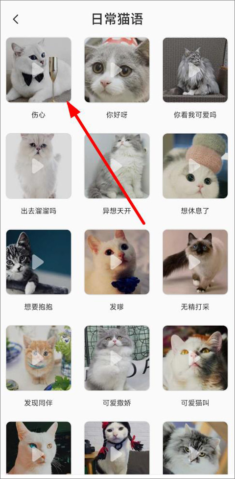 猫语翻译机截图1