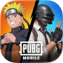 PUBG国际服手游2026最新版本 v4.5.0