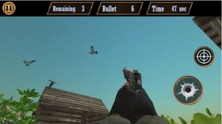 鸽子射击(Pigeon Shoot)截图0