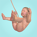 九个月游戏(9 Months) v1.41.9