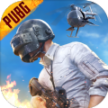 小言魔改OBB2.9文件(PUBG MOBILE) 1.0