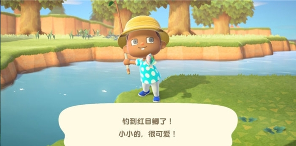 动物森友会移植版截图