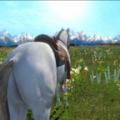 今天你骑马了吗 v0.12