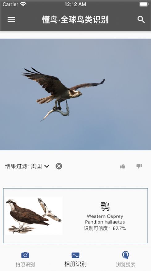懂鸟全球截图0