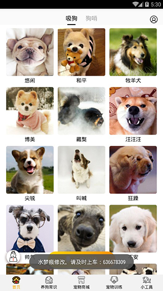 狗语翻译器中文版截图0